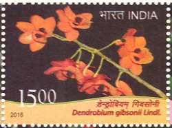 Indian Postage Stamp on Orchids