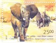 Indian Postage Stamp on 2nd Africa-india Forum Summit 2011