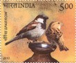Indian Postage Stamp on Sparrow