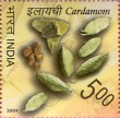 Indian Postage Stamp on Spices Of India
Cardamom
